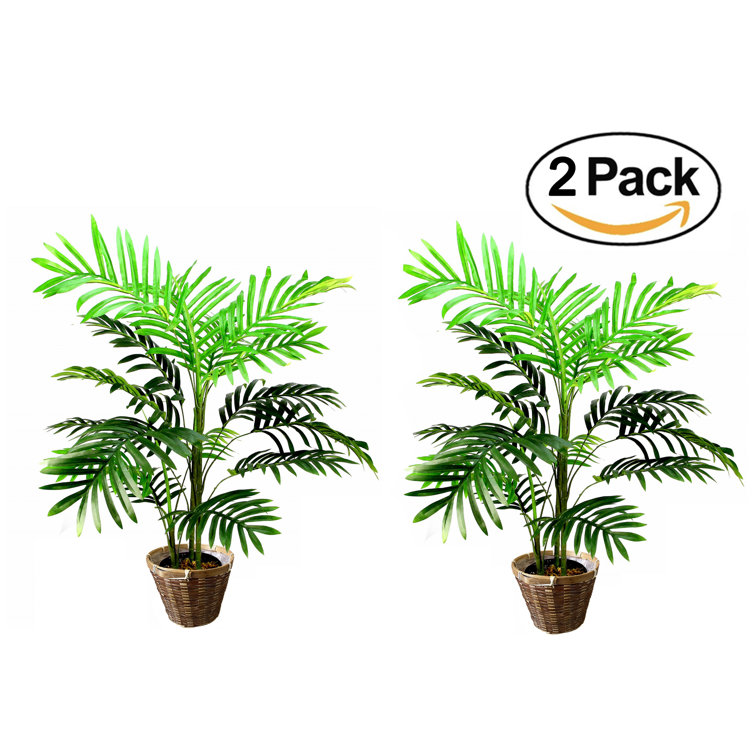 Primrue 36'' Faux Palm Tree in Basket Wayfair